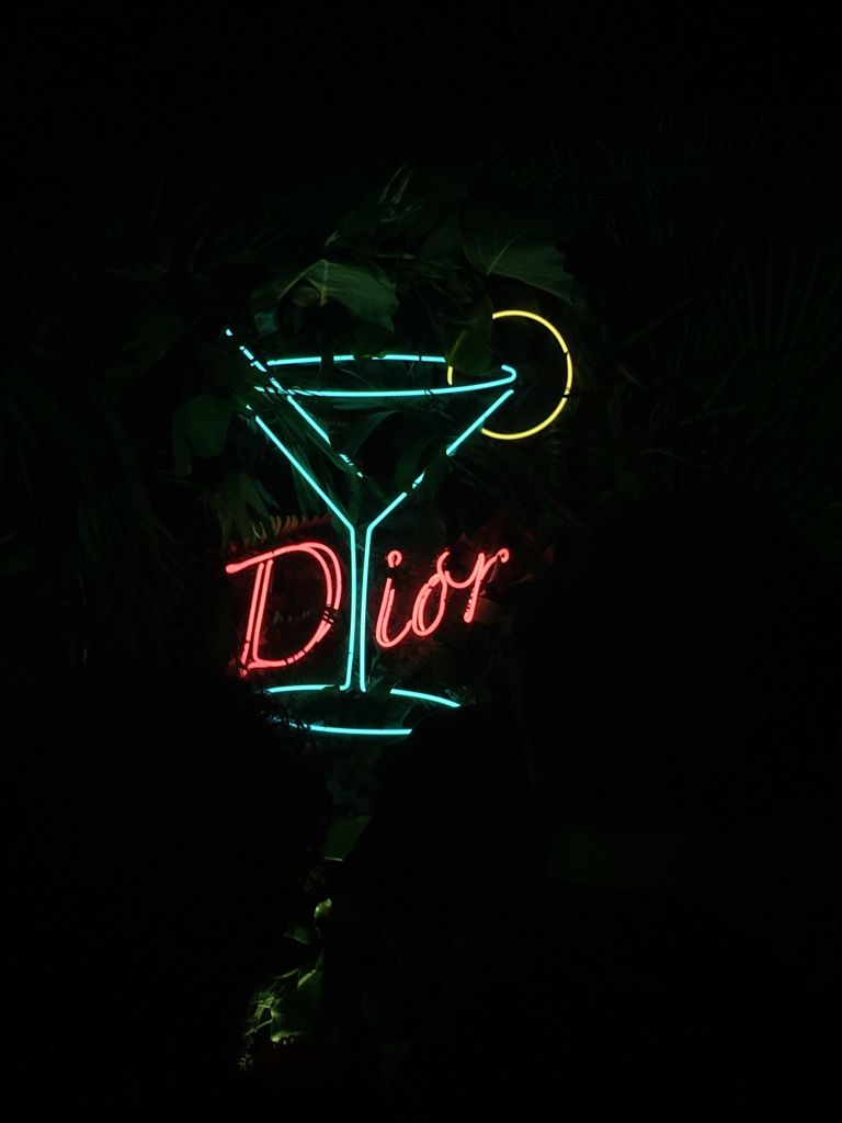 Dior Party Art Basel